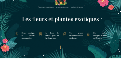 https://www.exofleurs.fr