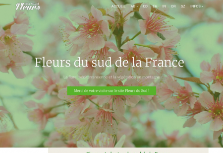 https://www.fleursdusud.fr
